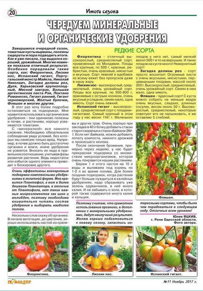 Как правильно подкармливать рассаду томатов