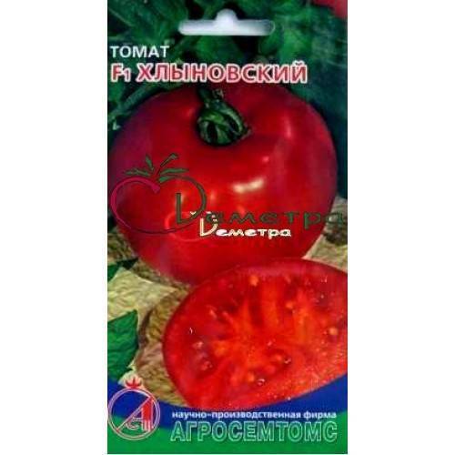 Томат хлыновский f1: отзывы тех кто сажал помидоры об их урожайности, характеристика и описание сорта семян, фото куста в высоту