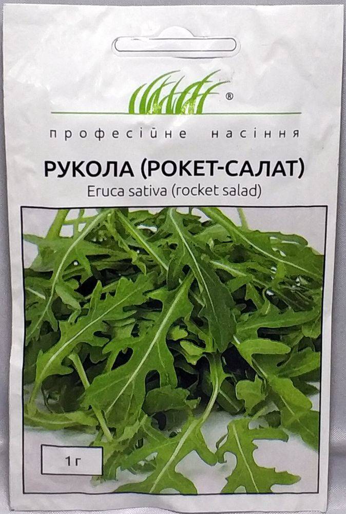 Руккола: выращивание из семян в открытом грунте, рассада в домашних условиях, фото