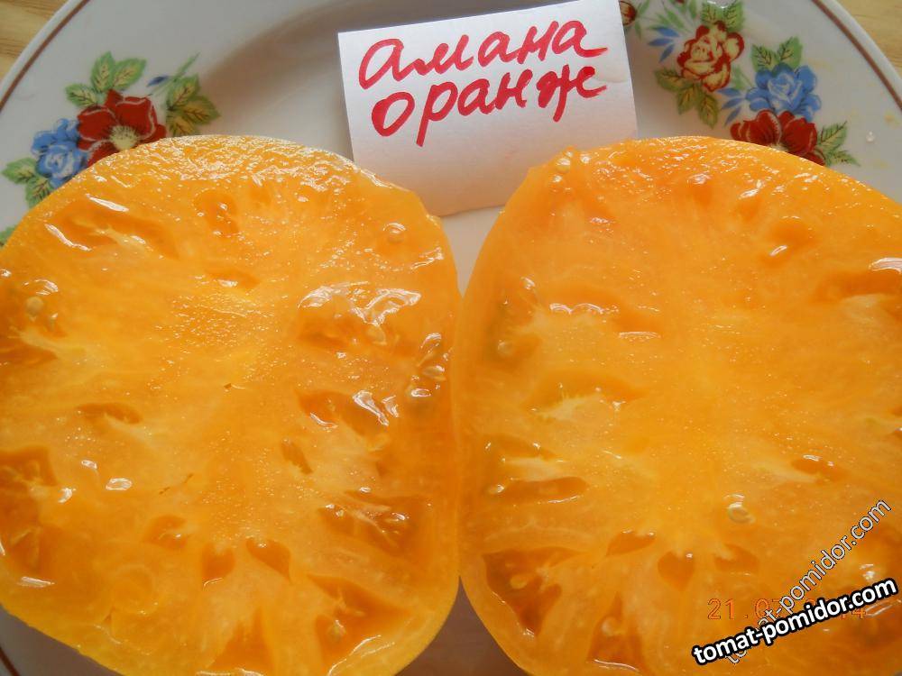 амана оранж томат