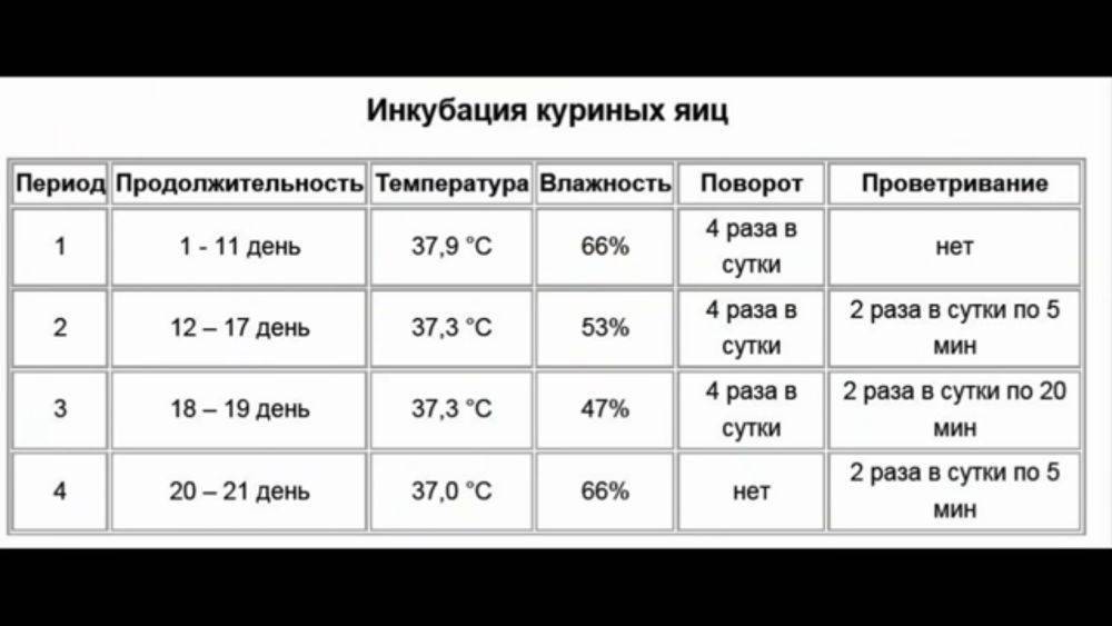 Схема вывода гусят