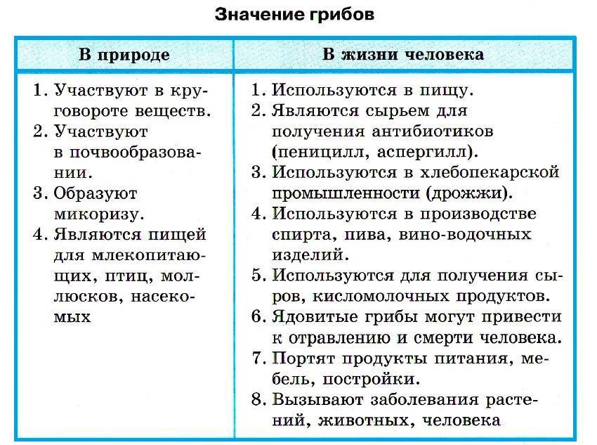 Урок 6: грибы и лишайники - 100urokov.ru