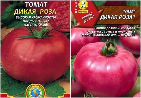Томат дикая роза: описание сорта, характеристика