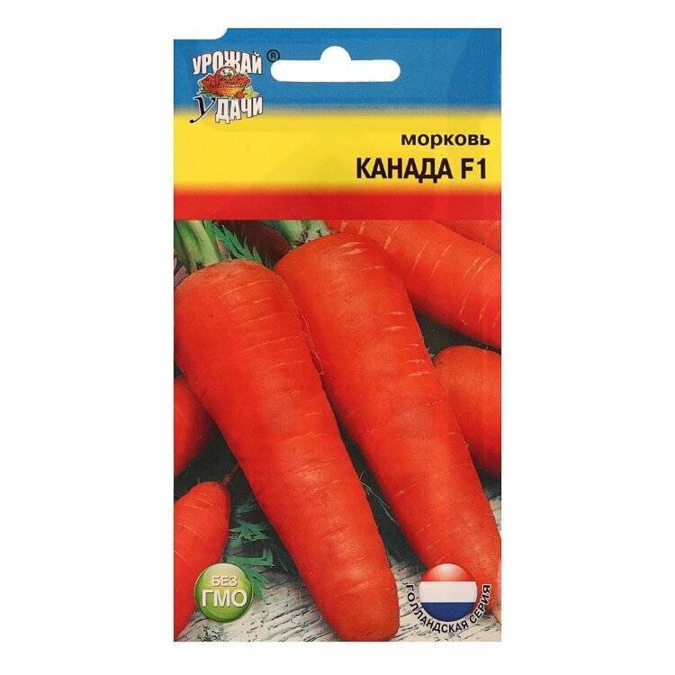 Морковь канада: описание сорта, фото, отзывы, выращивание