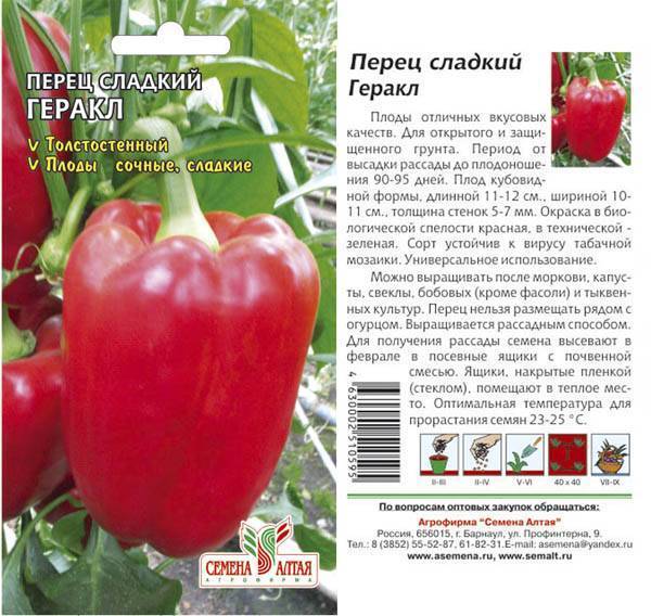 Сладкий перец геркулес f1