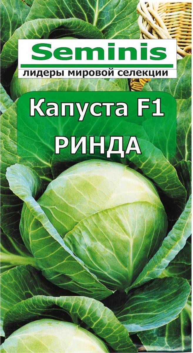 Капуста ринда f1: описание сорта, отзывы, урожайность, фото