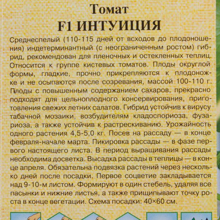 ᐉ томат "интуиция" f1: описание сорта, характеристики, советы по выращиванию отличного урожая помидор, фото-материалы - orensad198.ru