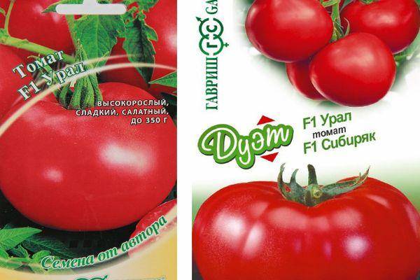 Томат бэлла роса f1: характеристика и описание сорта семян, отзывы об урожайности помидоров и фото куста в высоту