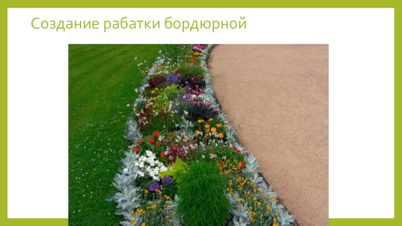 Рабатка своими руками - 125 фото как создать и подобрать растения для рабатки