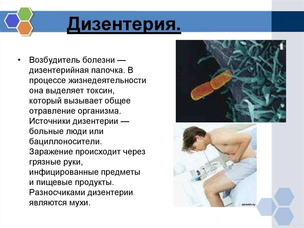 Здоровая ферма