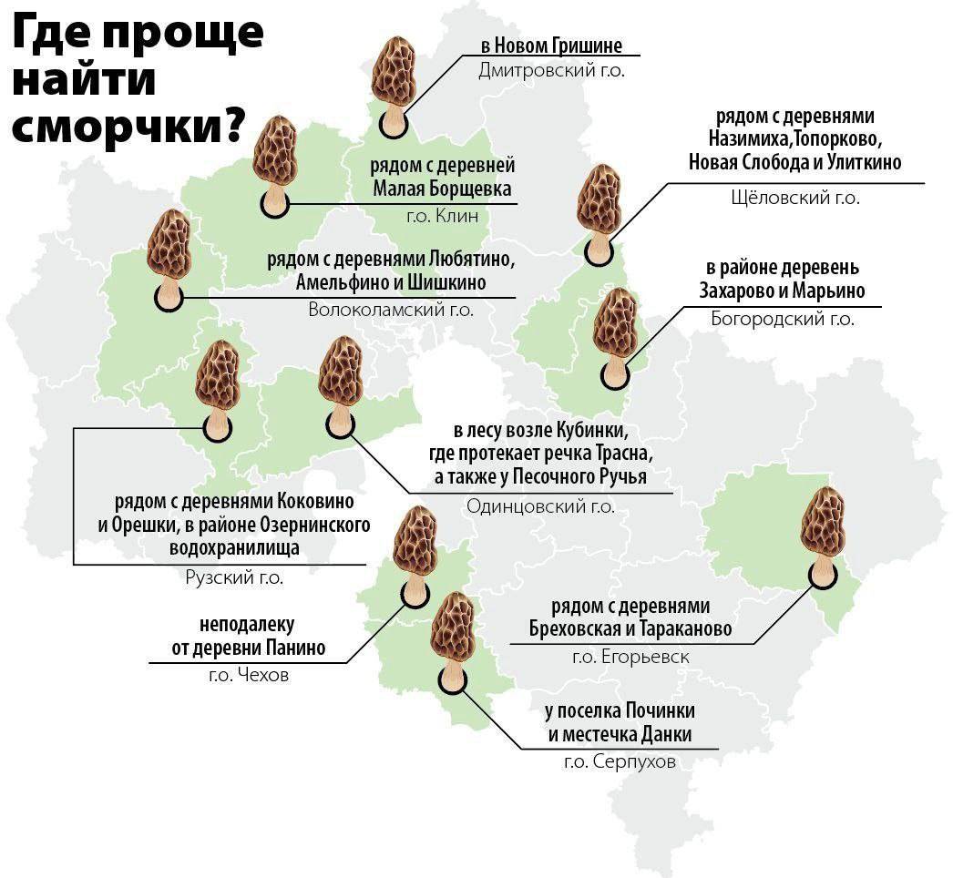 Грибная карта ростовской области