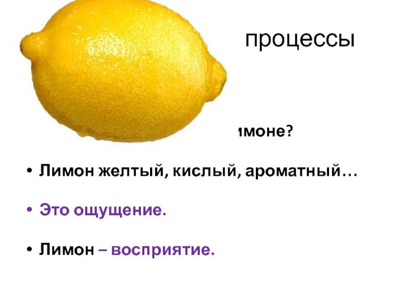 Почему лимон желтый. Лимон-кислое-жёлтое. Восприятие лимона. Лимон ощущение. Из чего состоит лимон.