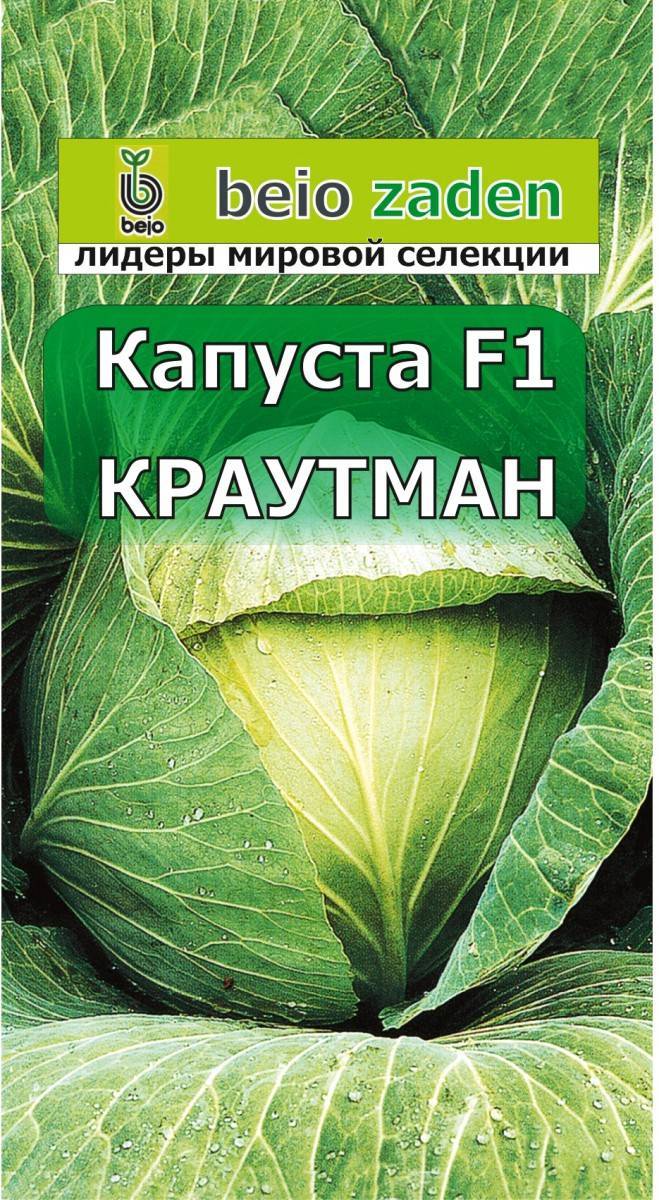 Капуста краутман f1: характеристика гибрида, описание урожайности сорта белокочанной, фото семян, отзывы о вкусовых качествах