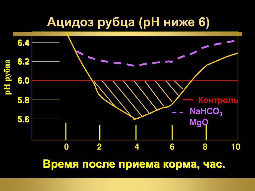 Эндометрит у крс