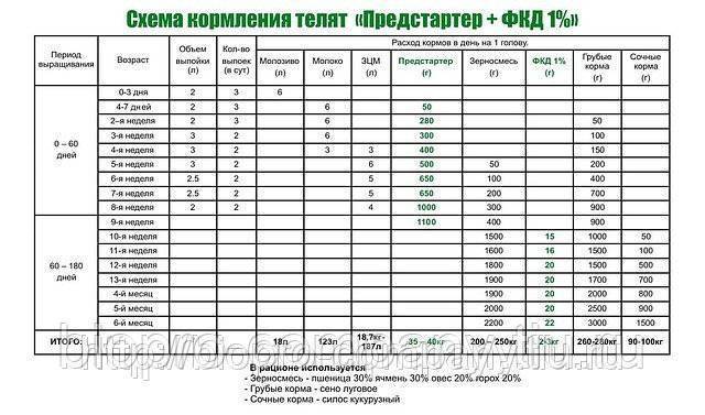 Схемы кормления телят от рождения до 6 месячного возраста