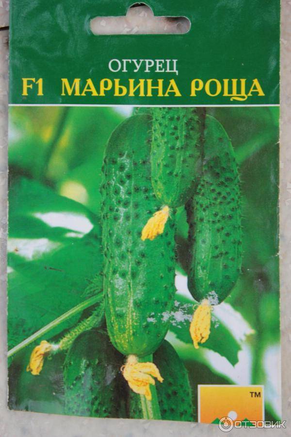 Огурец марьина роща f1: отзывы о выращивании и урожайности, описание сорта и характеристика, посадка и