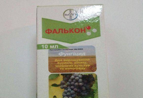 Фунгицид фалькон: применение препарата для винограда, инструкция и срок действия