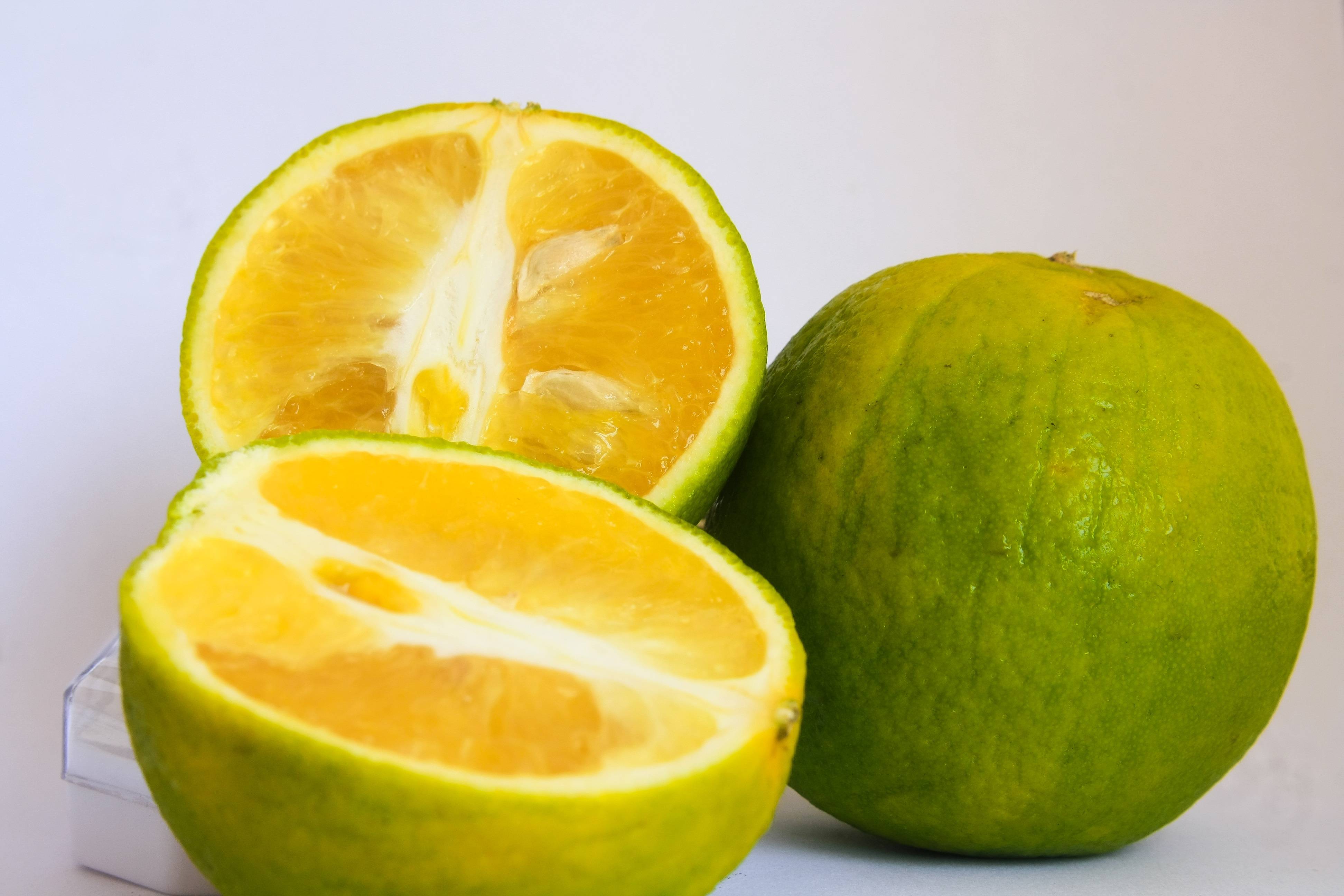 Экзотический апельсин — фрукт или ягода? сорта вечнозеленого дерева и их описание, польза и вред растения