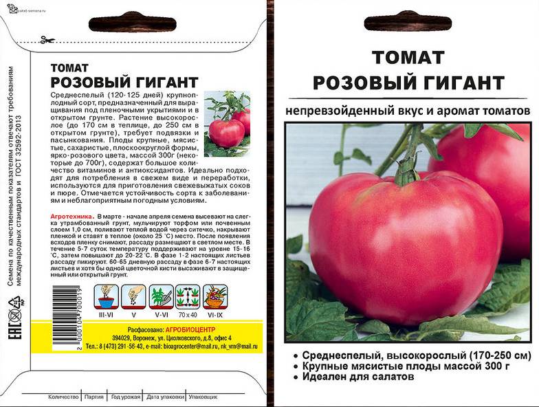Сорт томатов «розовый слон» - описание,  посадка и уход за помидорами