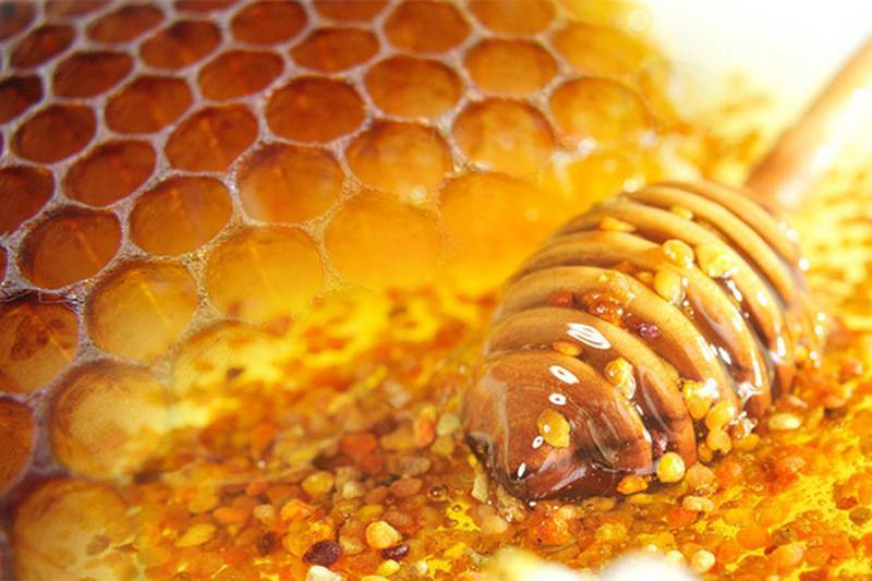 Можно ли есть воск из пчелиных сот