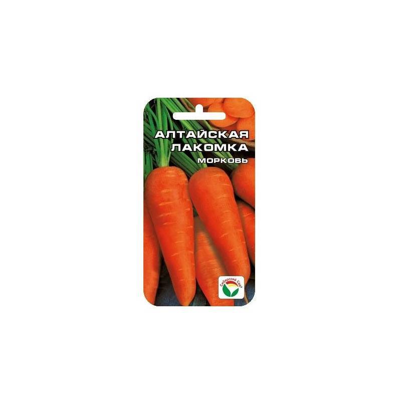 ᐉ морковь алтайская лакомка: характеристика сорта и описание выращивания - zookovcheg.ru