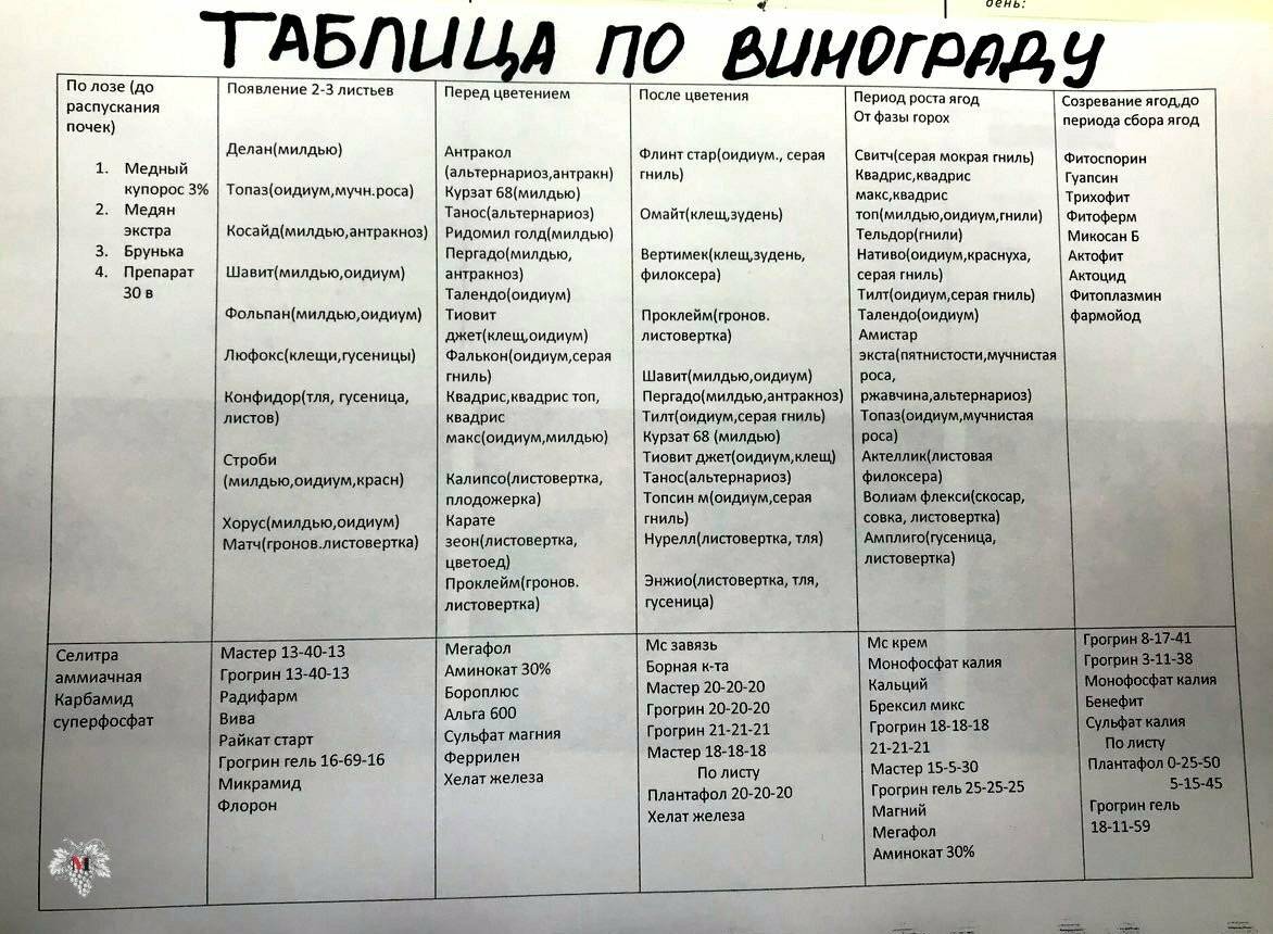 Опрыскивание винограда схема