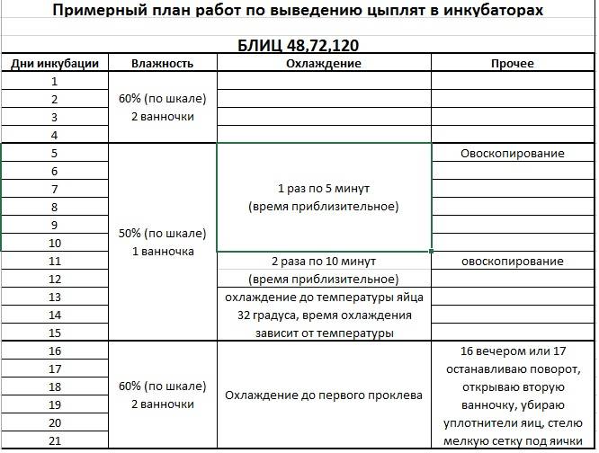 Схема инкубации индюшиных яиц в домашних условиях