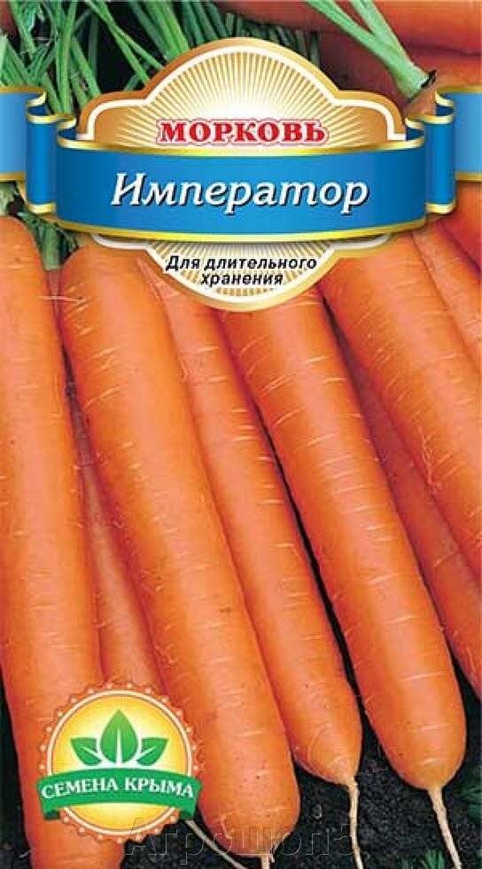 Морковь император: описание и характеристика, агротехника выращивания и уход за посадками, фото