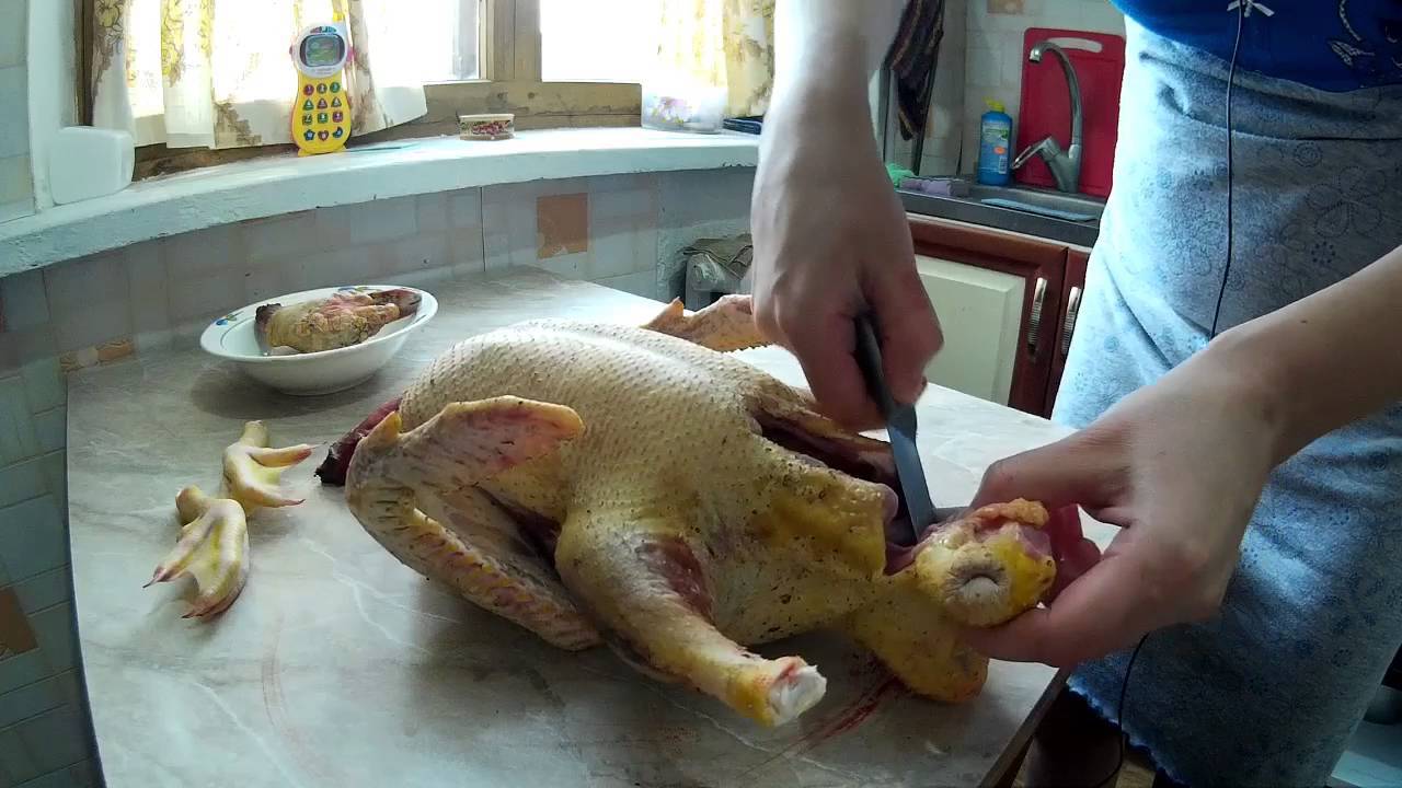 Забой мулардов и последующая обработка тушки