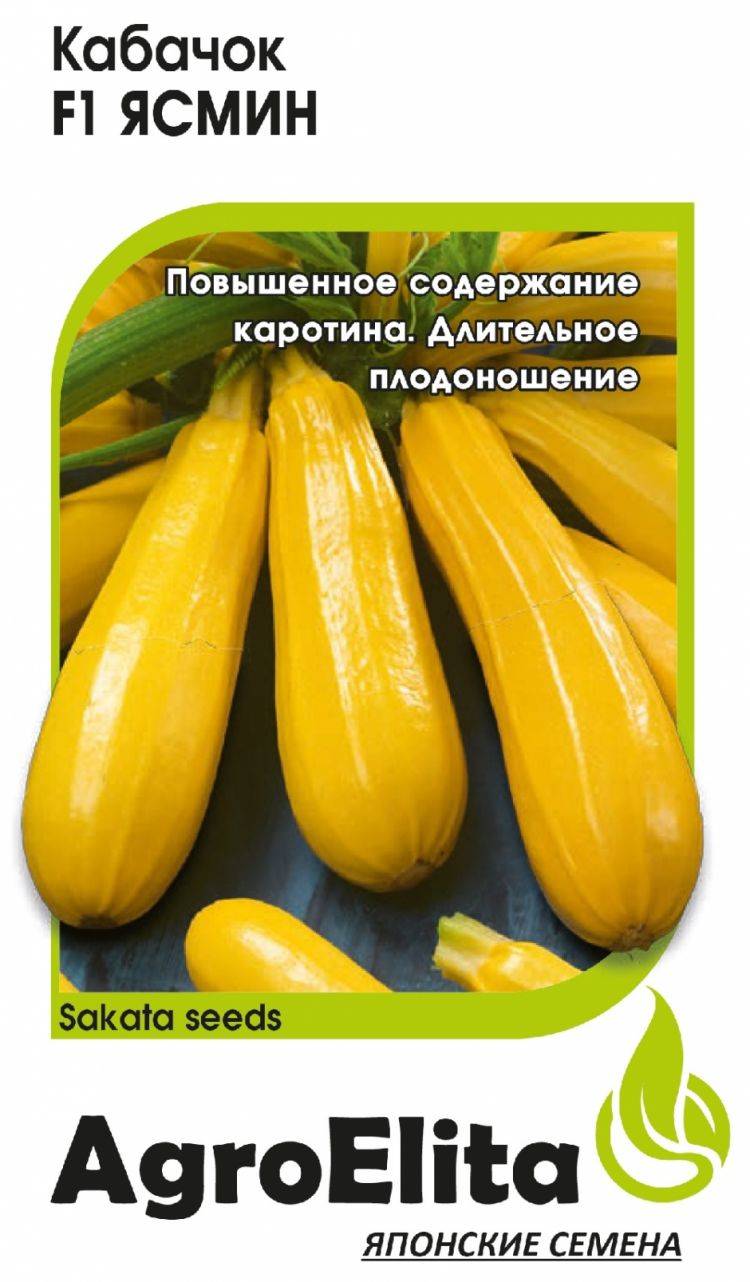 19 самых лучших сортов кабачков: описание и характеристика. выбирайте свой любимый сорт (фото & видео) +отзывы