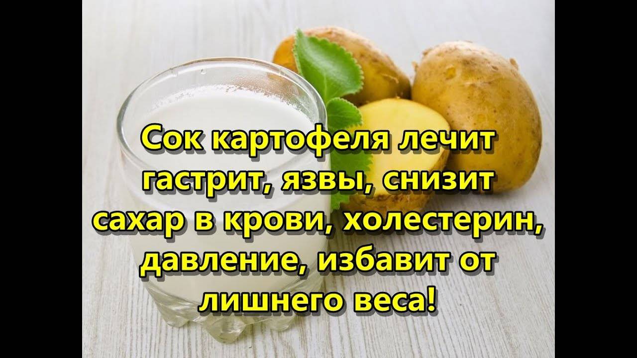 Сок картофеля — доступное и простое средство для здоровья и молодости