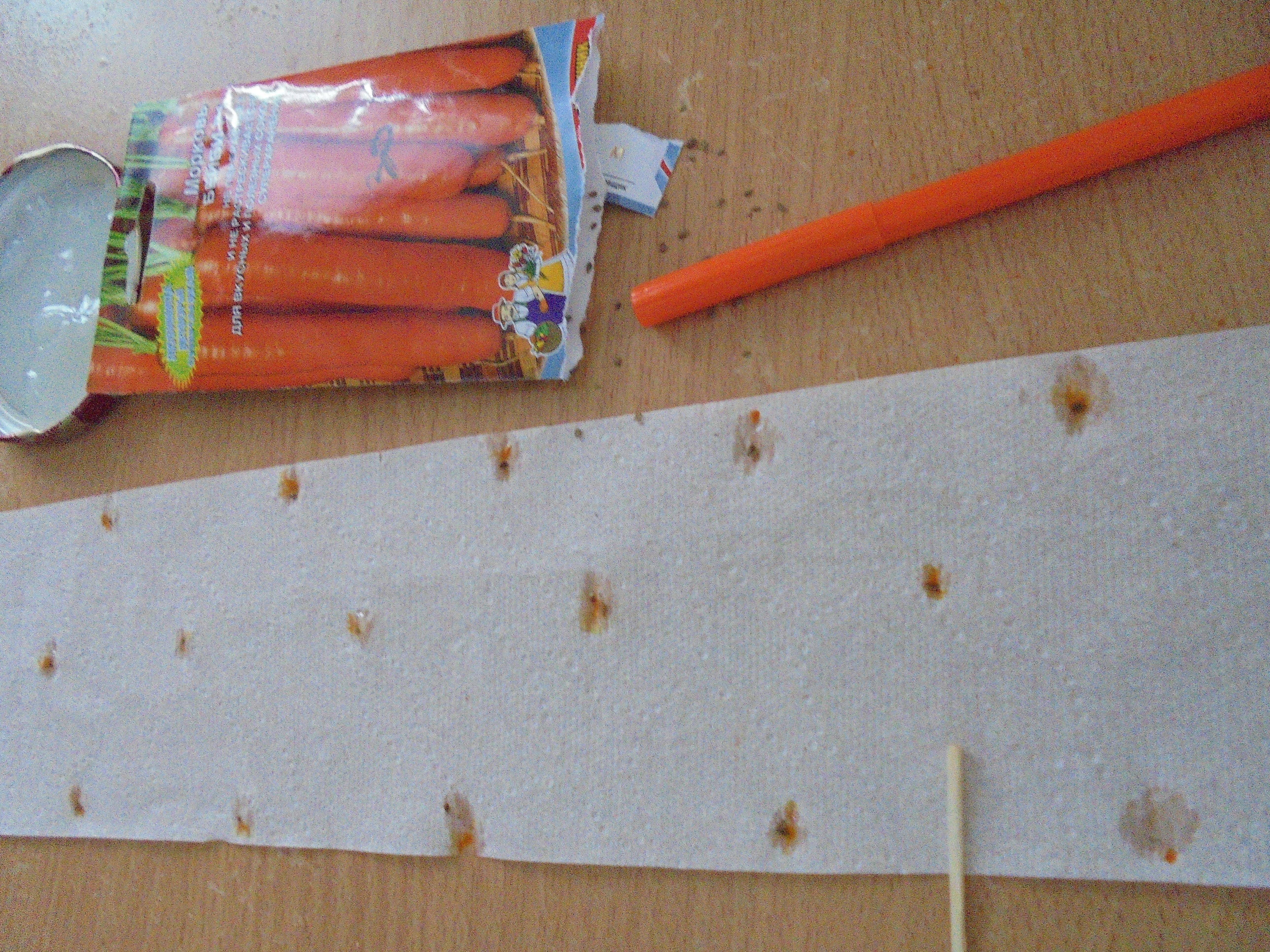 Посадка моркови на бумагу: инструкция, хитрости, советы