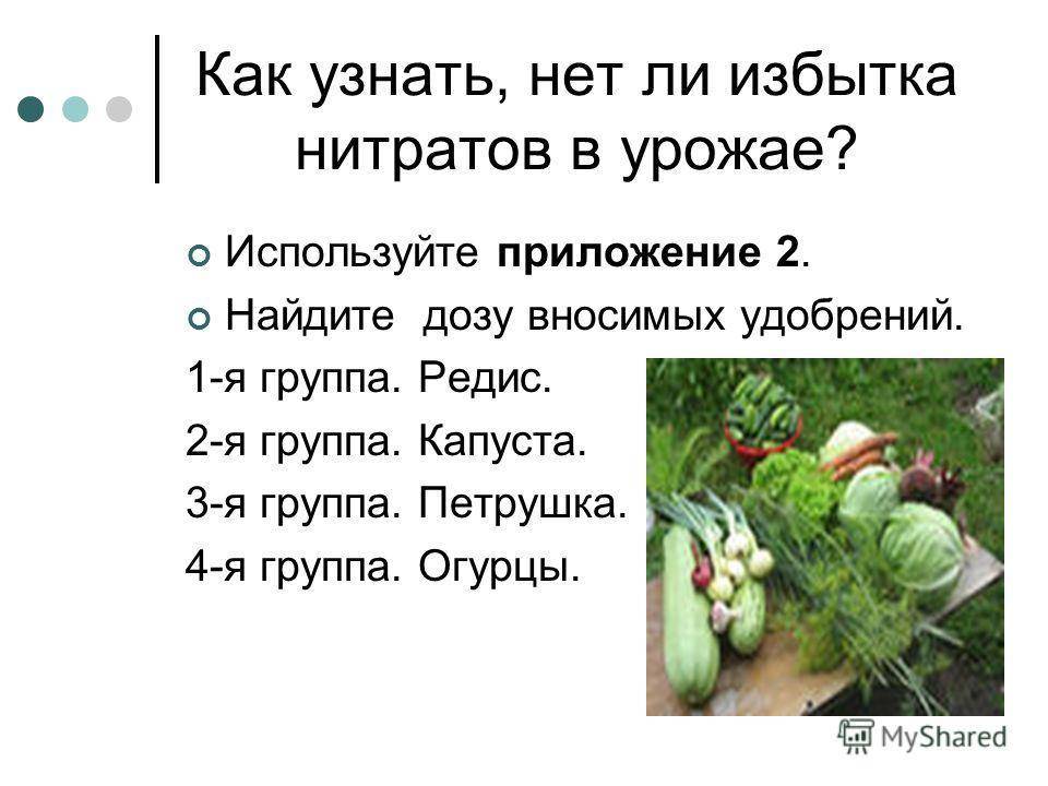 Нитраты и нитриты в овощах