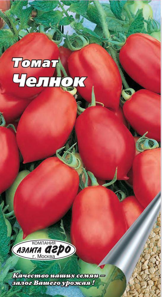 Томат челнок: характеристика и описание сорта, отзывы о нем тех кто выращивал его + фото