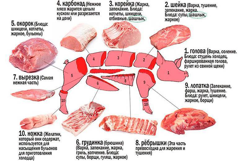 Как выбрать правильное мясо, секреты выбора мясной продукции