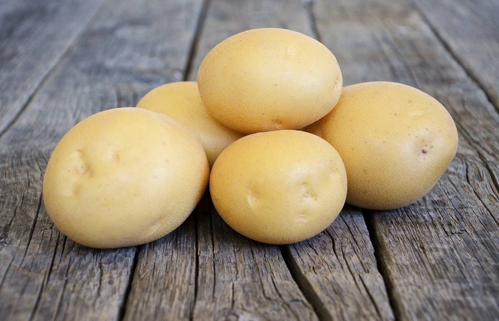 Характеристика картофеля Агата