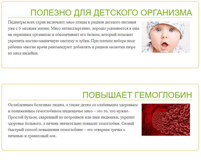 Мясо индейки: польза и вред для организма, полезнее ли курицы?