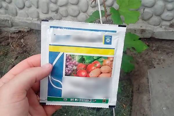 Лучшие препараты от фитофторы для разных плодовых культур