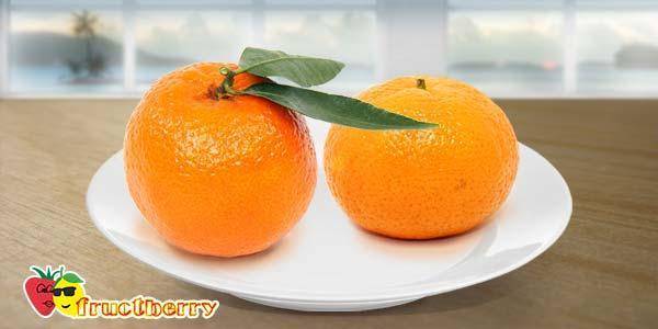 Клементины и мандарины: разница между ними, в чем отличия, описание сорта, чем отличается, калорийность, что полезнее