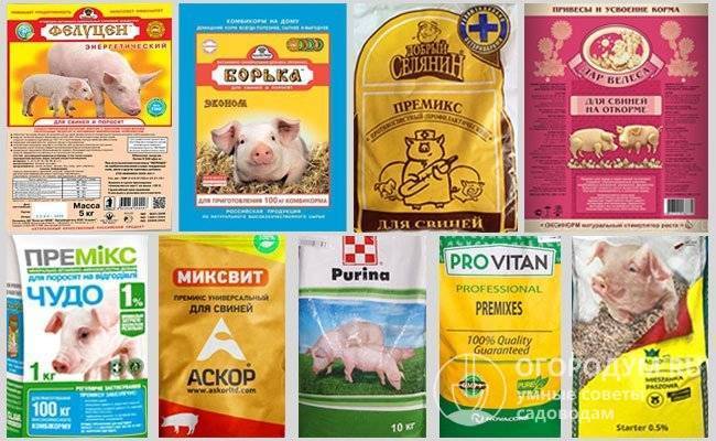 Бмвд для свиней: состав, инструкция по применению, как сделать своими руками