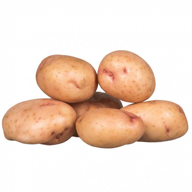 Семенной картофель синеглазка. Сорт картофеля Синеглазка (Ганнибал). Сорт картофеля Синеглазка. Сорт картошки Синеглазка. Сорт картофеля Ганнибал.