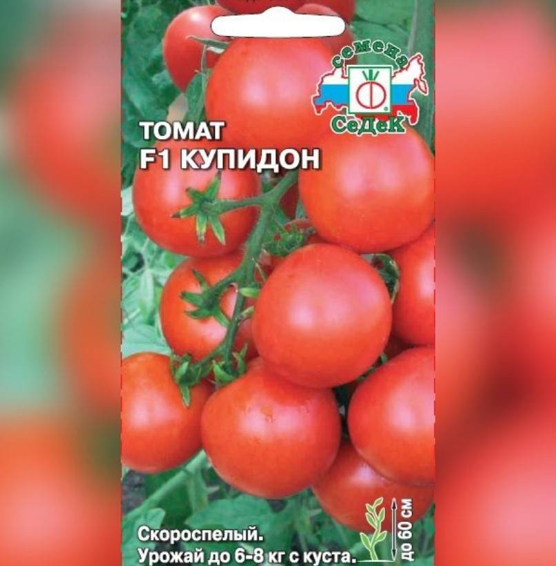 Лучшие сорта томатов (помидоров) на 2018 год для урала и сибири. отзывы и фото сортов томатов