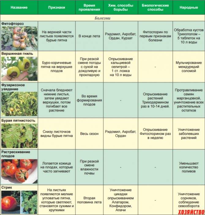 7 причин использовать аспирин в саду: улучшаем урожай баклажанов и помидоров, защищаем растения