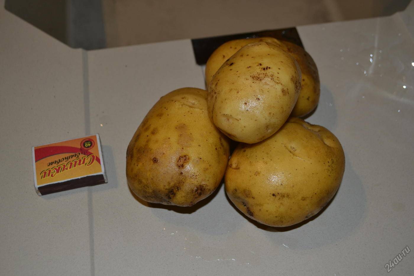 Картофель латона: описание сорта, фото, отзывы о вкусовых качествах, характеристика урожайности и советы по выращиванию и уходу