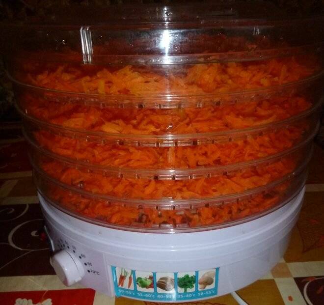 Как сушить морковь на зиму в домашних условиях? способы и рецепты