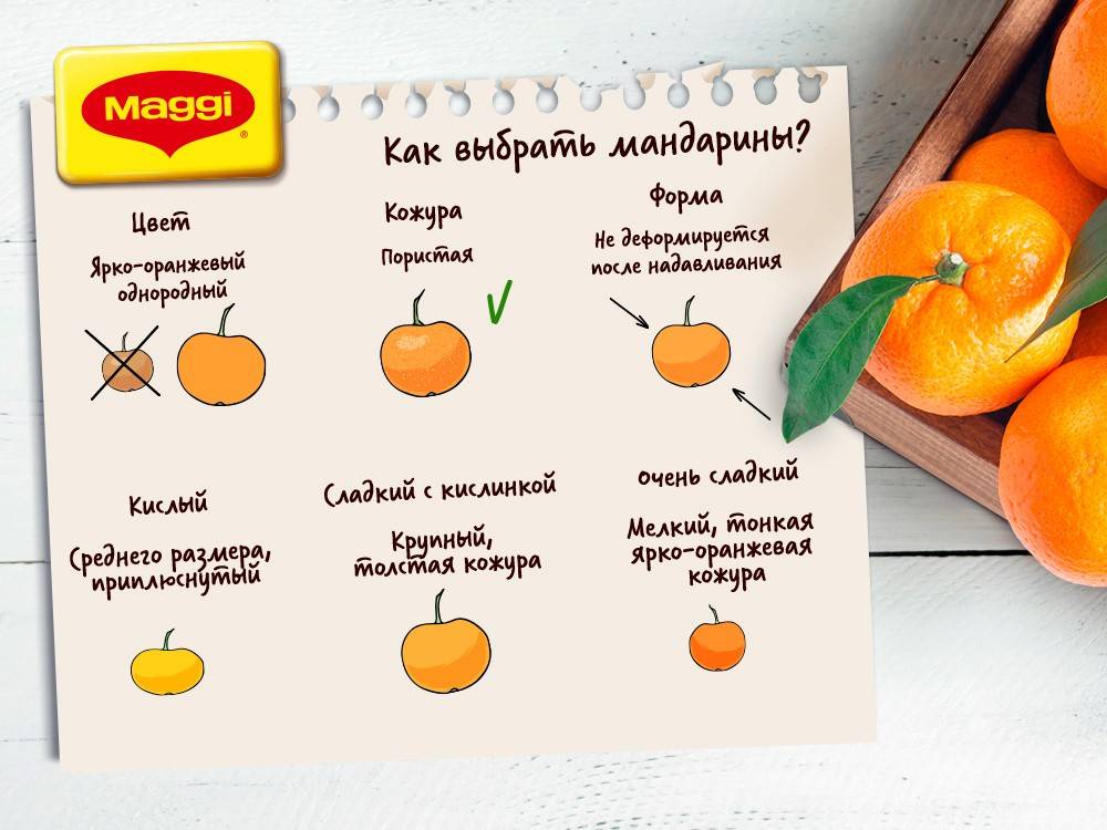 Условия хранения мандаринов - найдены новые способы сохранения вкуса
