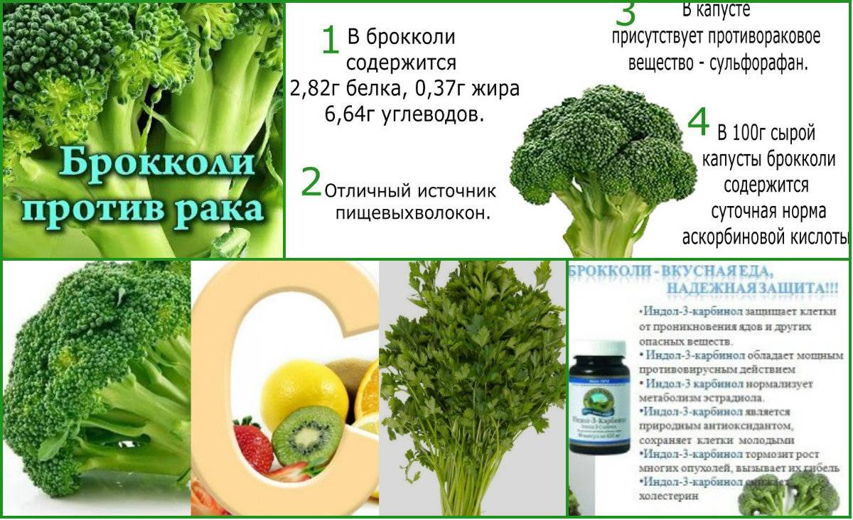 Капуста брокколи польза для организма. Брокколи польза. Полезные витамины в брокколи. Чем полезна брокколи. Чем полезно брокколи.