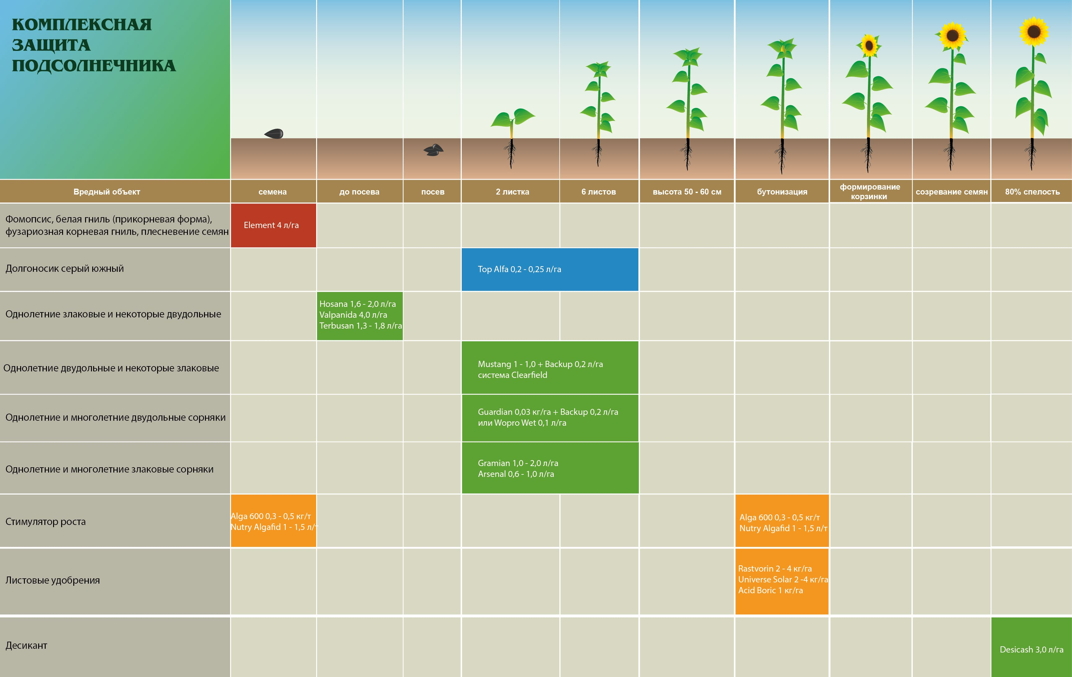 Схема защиты подсолнечника экспресс. Комплексная защита подсолнечника. Листовая подкормка. Система удобрений подсолнечника.