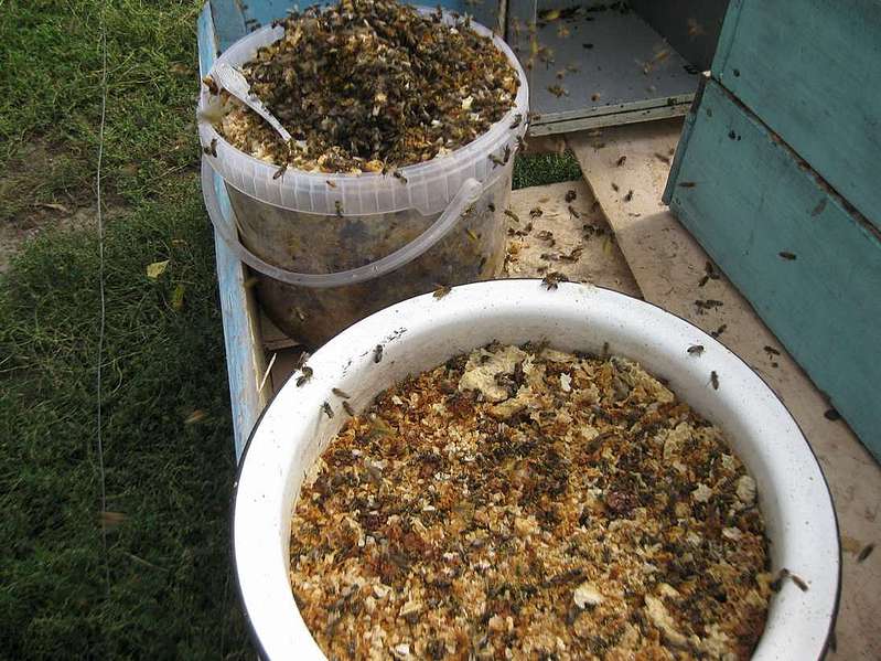 Сироп для пчел: весной, пропорции, как приготовить