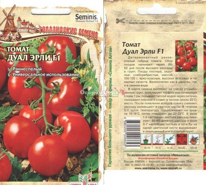 Томат хлыновский: отзывы, фото, урожайность, описание и характеристика | tomatland.ru
